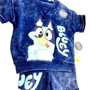 Bluey Matching Outfit Set Size 2T Top Shorts Children Kids Blue Short Sleeve